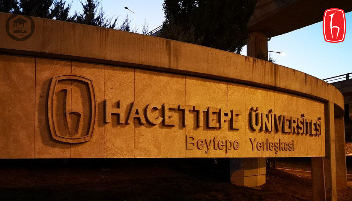 hacettepe university